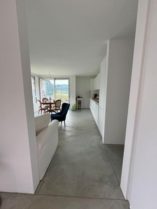Neue Gartenwohnung Mit Sicht Auf Den Luganersee Ponte Tresa Exterior foto
